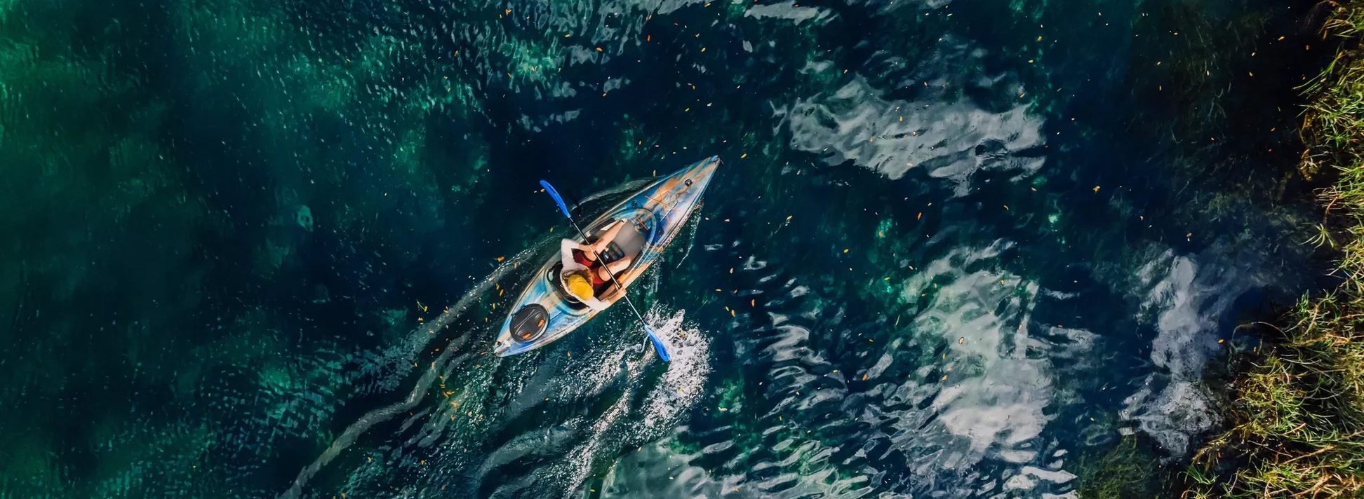 Pelican -Pelican 1 1